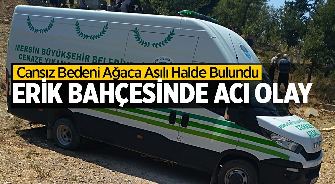 Mersin’in Erdemli İlçesinde S.K. İsimli Kişinin Cansız Bedeni Erik Ağacına Asılı Halde Bulundu