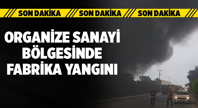 Mersin-Tarsus Organize Sanayi Bölgesinde Bulunan Madeni Yağ Fabrikasında Yangın Çıktı