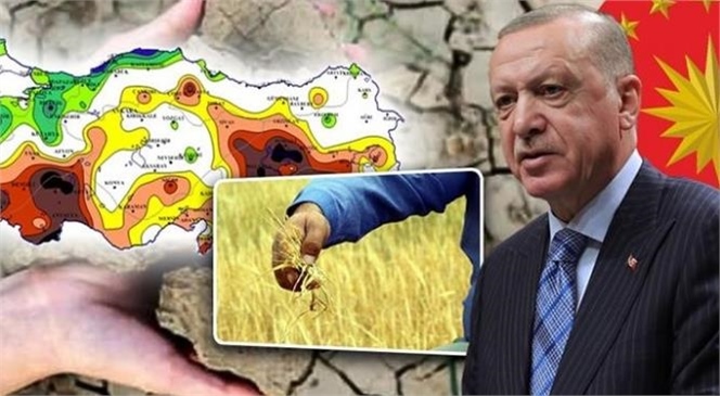 Cumhurbaşkanı Erdoğan’dan Çiftçilere Müjde