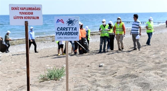 Yavru Carettalar Çöplere Takılmadan Denize Ulaşabilsin Diye 100. Yıl Tabiat Parkı’ndaki Çöpleri Temizlediler