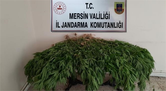 Mersin'de Uyuşturuculara Operasyon