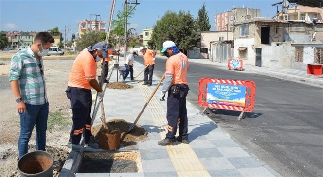 Bakım Çalışmaları Aralıksız Sürüyor