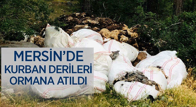 Mersin’in Çamlıyayla İlçesinde Kurban Derileri Ormanlık Alana Atıldı! Görüntüler Tepki Çekti