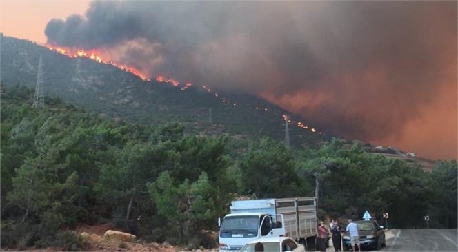 Mersin’in Birçok Bölgesinde Başlayan Orman Yangınları Hala Devam Ediyor…