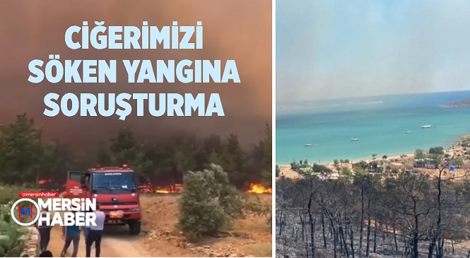 Mersin’deki Orman Yangınlarıyla İlgili Soruşturma Başlatıldı