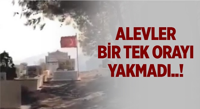 Mersin Silifke'de Çıkan Yangında Mezarlık Yanarken Şehit Kabri ve Türk Bayrağı Zarar Görmedi