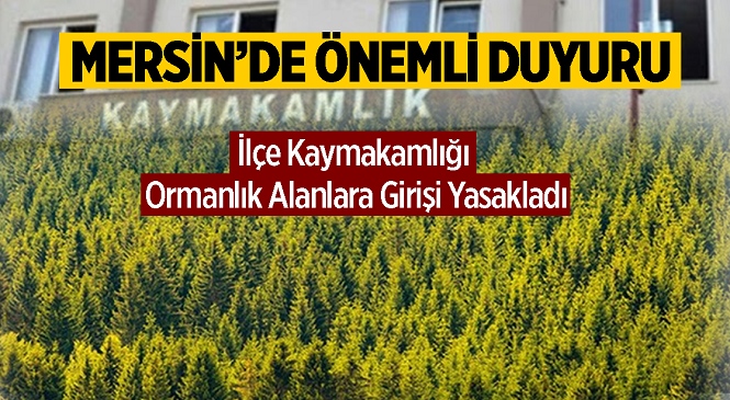 Mersin’de İlçe Kaymakamlığı Duyurdu! 15 Gün Boyunca Yetkililer Haricinde Ormanlık Alanlara Girilemeyecek