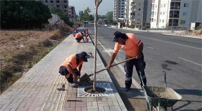 Büyükşehir Ekipleri, Yeşil Bir Tarsus İçin Çalışıyor