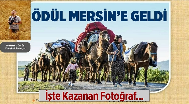 Bakanlığın Yarışmasında Mersinli Fotoğraf Sanatçısı Mustafa Gümüş’ün Büyük Başarısı