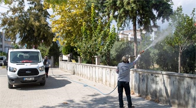 Büyükşehir İlaçlama Ekiplerinden Kent Genelinde Yoğun Beyazsinek Mesaisi