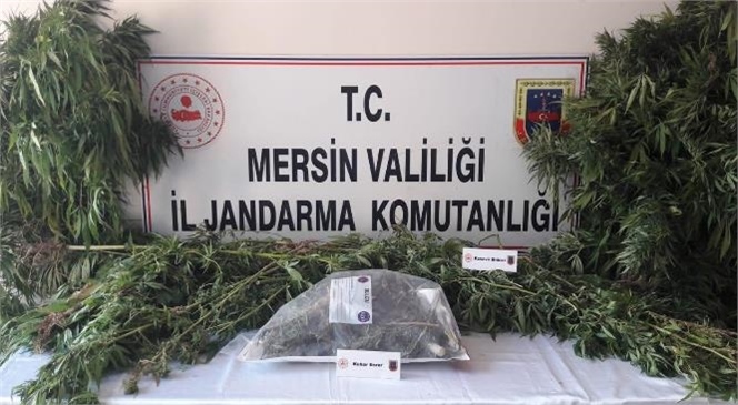 Mersin'de Jandarma Uyuşturucu Kullanıcılarına Operasyon Düzenledi