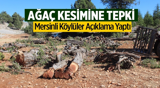 Yaylalık Bölgedeki Ardıç Ağacı Kesimine Vatandaşlardan Tepki! Bir Araya Gelip Basın Açıklaması Yaptılar