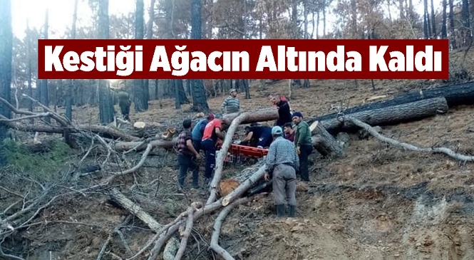 Mersin’in Aydıncık İlçesinde Korkutan Olay! Ormandaki Kesim Sırasında Ağacın Altında Kalan Adam Yaralandı