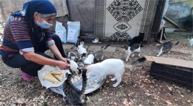 Çamlıyayla’da Sokak Hayvanlarına Sahip Çıkan Kadına Büyükşehir Belediyesi’nden Mama Desteği