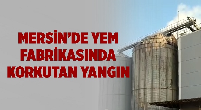 Mersin’in Tarsus İlçesinde Yem Fabrikası Alevlere Teslim Oldu