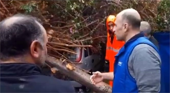 Mersin'de Etkili Olan Rüzgar ve Yağış Nedeniyle Bir Ağaç, Park Halindeki Otomobilin Üzerine Devrildi.