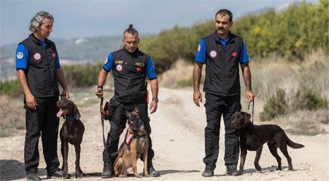Mersin Büyükşehir, Sertifikalı K9 Köpekleri İle Büyükşehirler Arasında Bir İlki Başardı