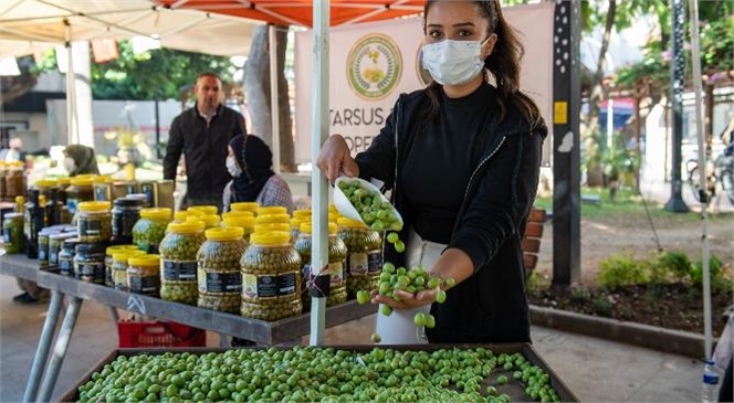 Yoğurt Pazarı’nda Kadın Emeği ve Zeytin Bereketi