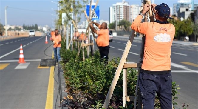 Mersin Büyükşehir Çalışıyor, Kent Güzelleşiyor