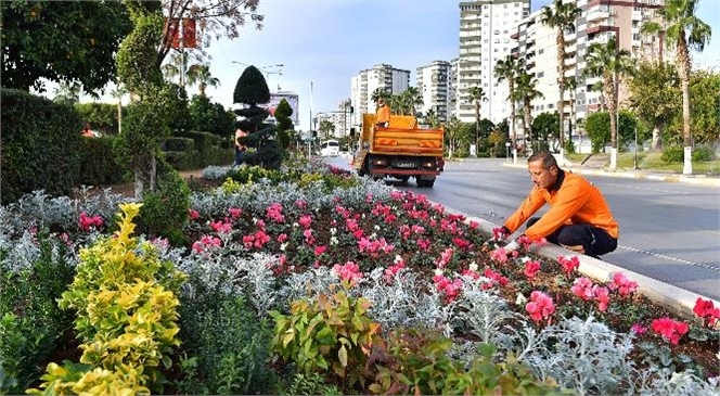 Yaklaşık 250 Bin Bitki Toprakla Buluştu