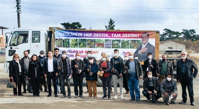 Mersin'de 2021’in Fide, Fidan, Soğan Dağıtımları Ceviz Fidanı İle Sona Eriyor