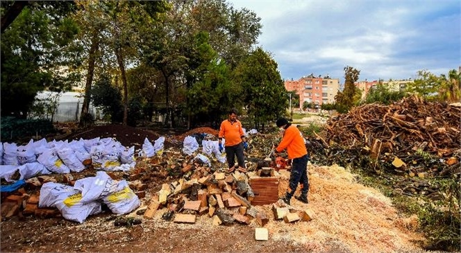 Büyükşehir’den Yaş Almış Vatandaşlara Yakacak Odun Desteği