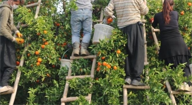 Günlük Ücret Elci’lik Hariç Kişi Başı 150,00 TL Olarak Belirlendi