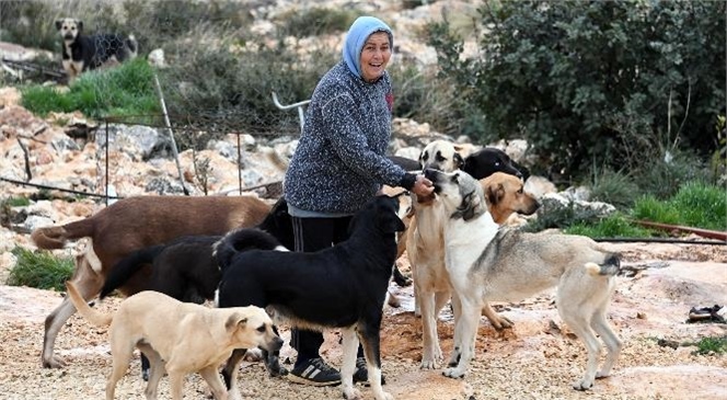 Kızkalesi’nde Sokak Hayvanlarının Annesi: "Hayriye Özyurt"