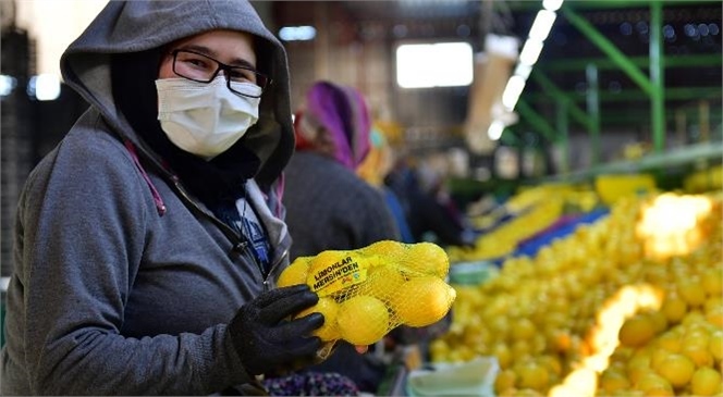 4 Büyükşehir’e Ulaşan Limonlar Mersin’de de Dağıtıldı