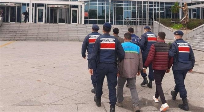 Mersin İl Jandarma Komutanlığı Ekipleri Meyve Bahçelerinden Hırsızlık Yapan 4 Şüpheli Şahsı Yakaladı