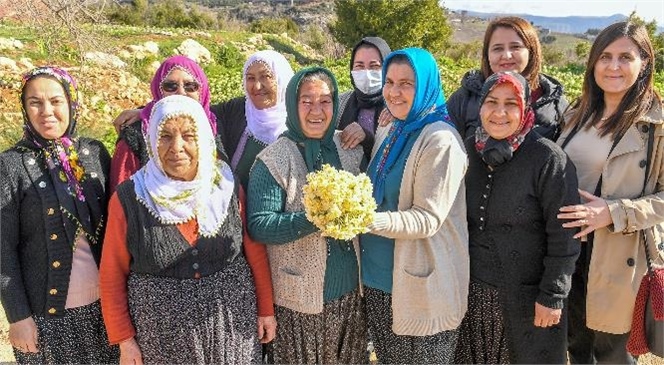 Büyükşehir’in Mis Gibi Projesi 3 Yıldır Çiçek Açıyor