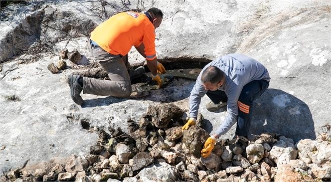 Mersin Büyükşehir, 412 Personel ve 125 Araçla İlaçlama Yapıyor