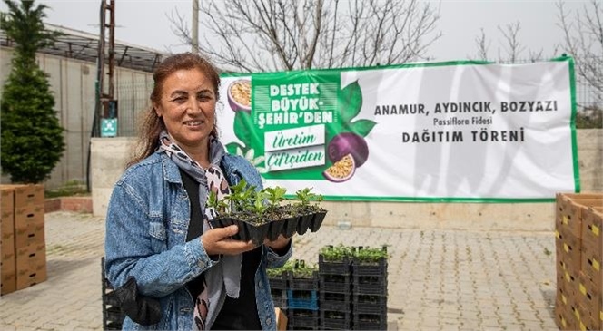 28’i Kadın Toplam 59 Üreticiye 7 Bin 375 Passiflora Fidesi