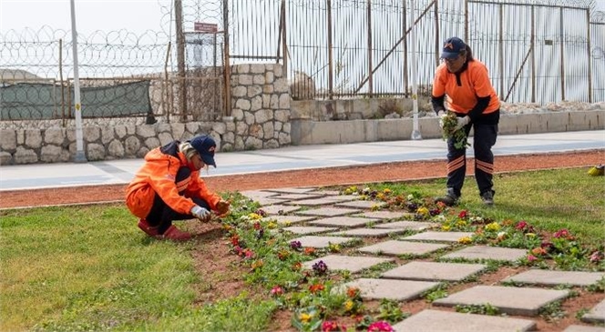 Büyükşehir Park ve Bahçeler Ekibi, Üç Ayda 197 Bin Bitkiyi Toprakla Buluşturdu