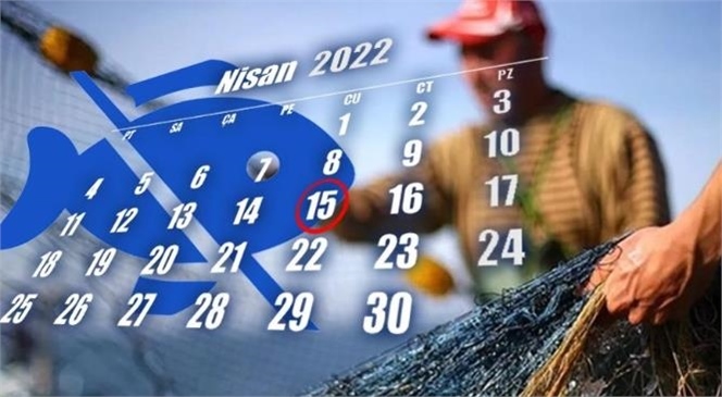 2021-2022 Balıkçılık Av Sezonu Yarın Kapanıyor