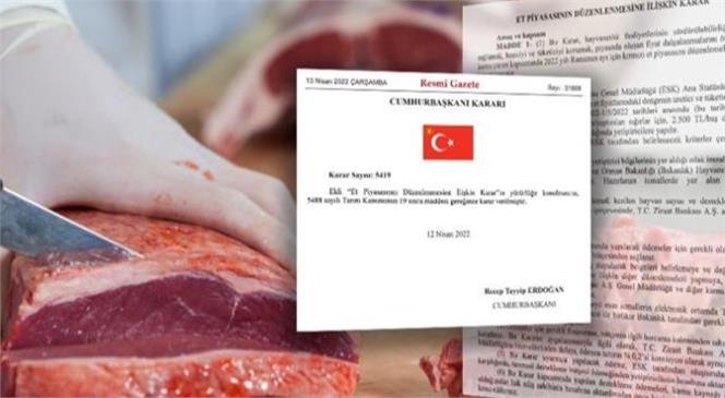 Sığır Başına 2 Bin 500 Lira Destekleme Ödemesi Yapılacak