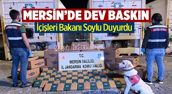 Muz Kolileri Arasında Dev Sevkiyat! Mersin Limanında Yakalandılar…