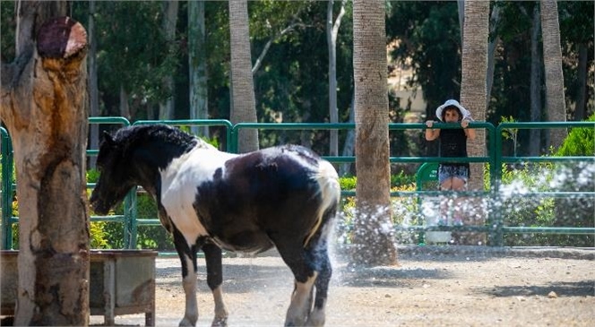 Tarsus Doğa Parkı, 23 Nisan’da Çocuklara Ücretsiz