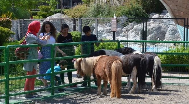 Tarsus Doğa Parkı, 23 Nisan’da da Doldu Taştı!