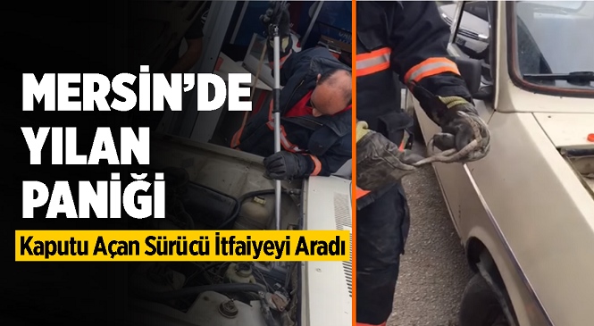 Aracının Kaputunu Açan Sürücü Sürprizle Karşılaştı