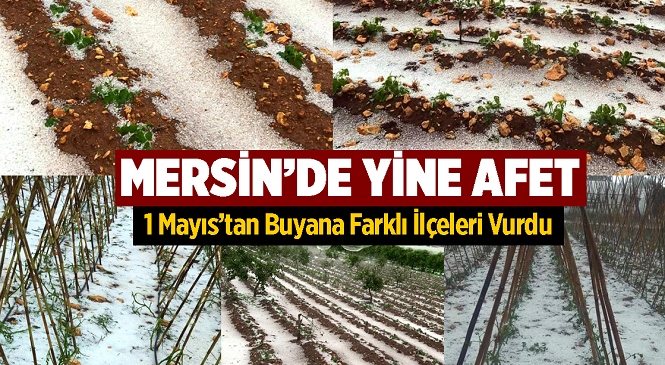 Mersin’in Erdemli İlçesinde Dolu Afeti