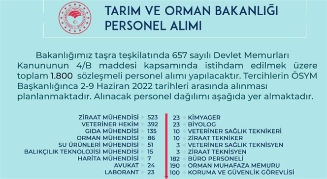 Bin 800 Sözleşmeli Personel Alınacak