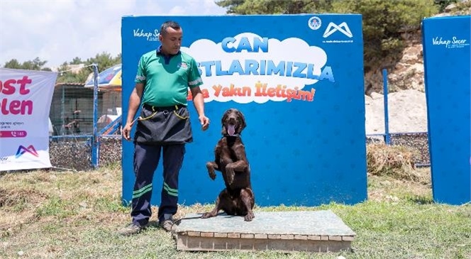 Yasaklı Irklar, Saldırgan ve Engelli Köpekler de Eğitimden Geçecek