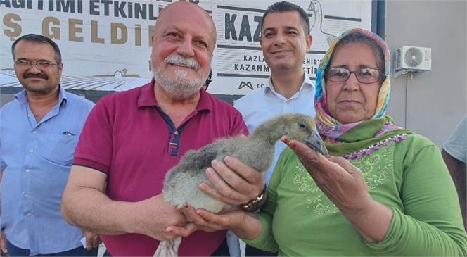 Aile Bütçelerine Katkı Sunacak Kazlar, Tarsuslu Yetiştiricilere de Teslim Edildi