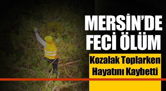 Mersin’de Kozalak Topladığı Ağaçtan Düşen Vatandan Kurtarılamadı