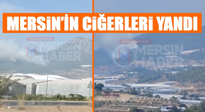 Mersin’de Çıkan Orman Yangını Ciğerlerimizi Yaktı