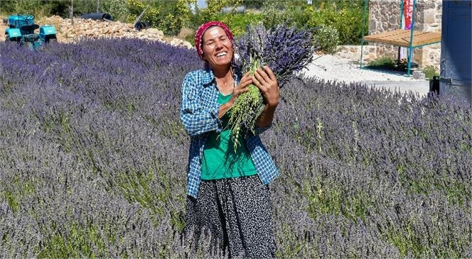 Mersin Büyükşehir Destekledi, Köylüler Üretip Öğrencilere Burs Verdi