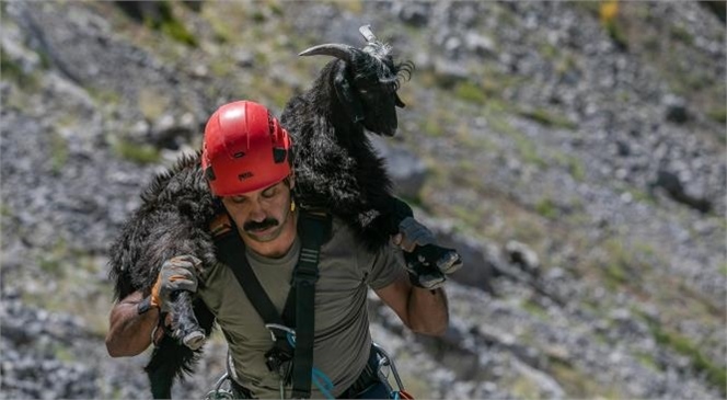 Mersin'de Açlık ve Susuzluktan Yorgun Düşen Keçi, Kısa Sürede Kurtarıldı