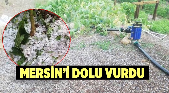 Mersin’in Yükseklerinde Etkili Olan Dolu Yağışı Tarımı Vurdu