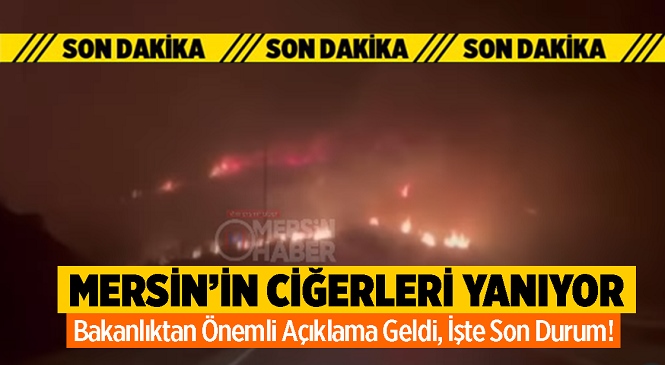 Mersin’in Ciğerleri Yanıyor! Yangındaki Son Durumu Bakanlık Açıkladı